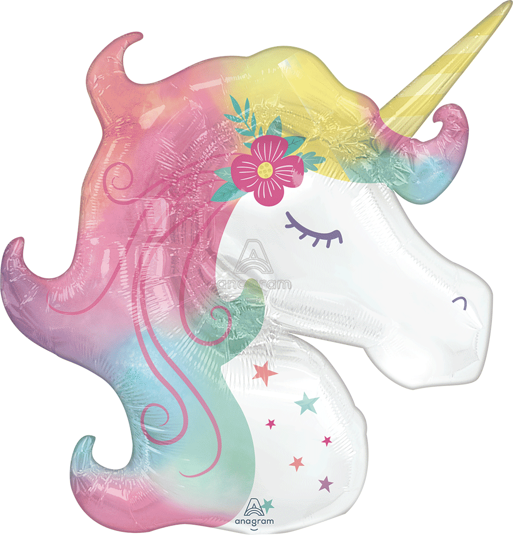 Enchanted Unicorn