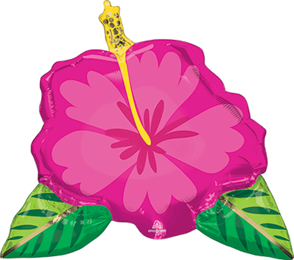 Beautiful Tropical Hibiscus