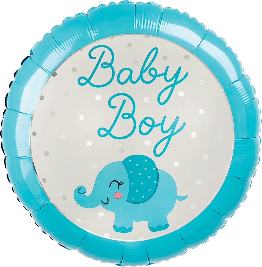 Baby Boy Elephant
