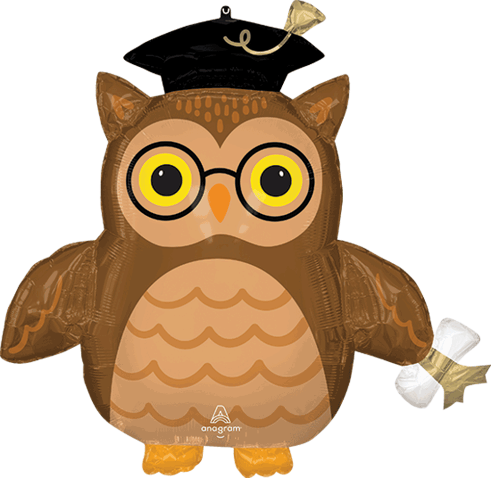 Graduate Wise Owl