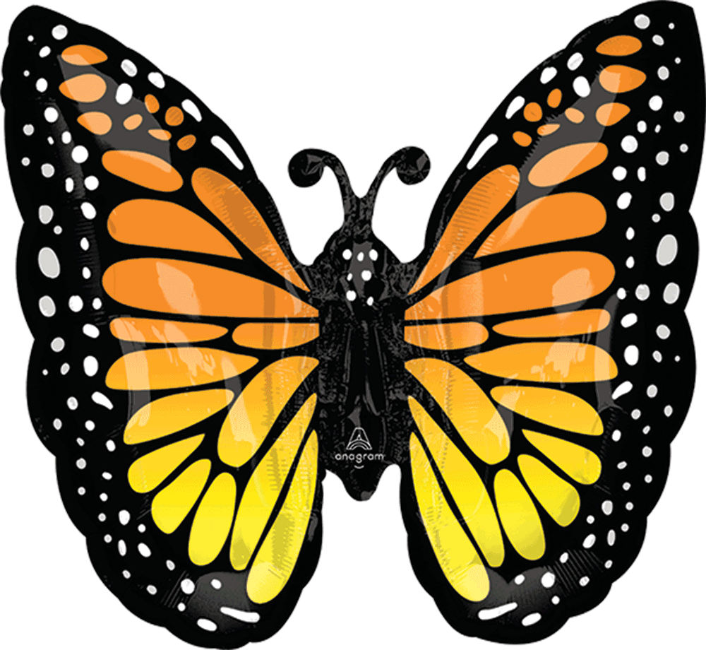 Monarch Butterfly Glow
