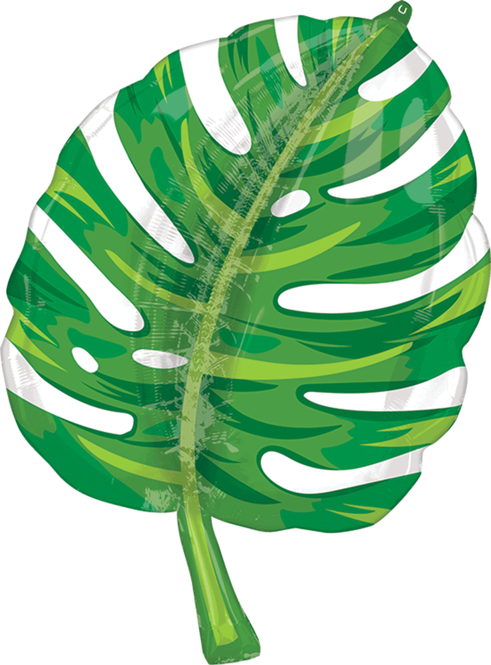 Monstera Leaf